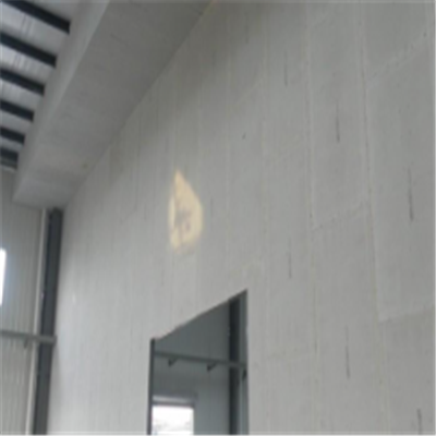 志丹宁波ALC板|EPS加气板隔墙与混凝土整浇联接的实验研讨
